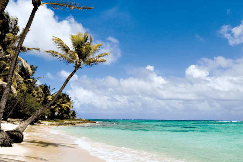 Sprachaufenthalt Guadeloupe