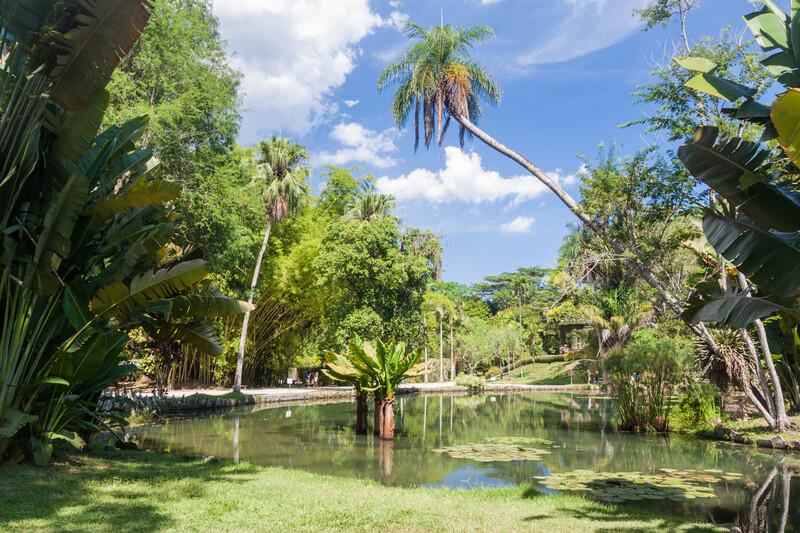 Séjour linguistique Brésil, Rio de Janeiro, Jardim Botanico