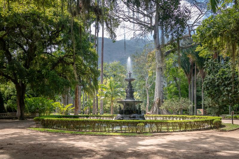 Séjour linguistique Brésil, Rio de Janeiro, Jardim Botanico