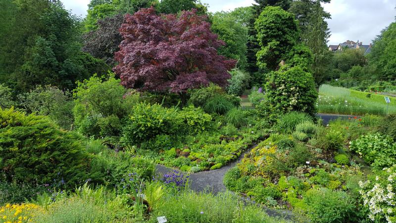 Sprachaufenthalt Deutschland, Göttingen - Botanischer Garten