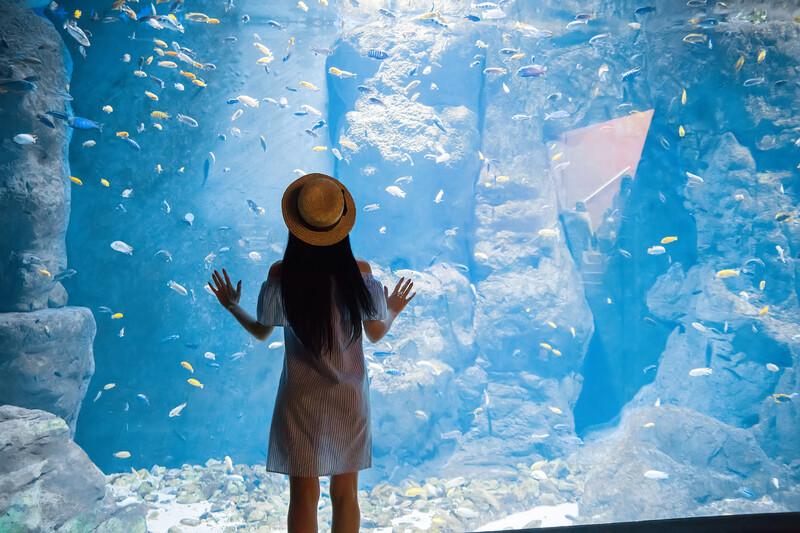 Séjour linguistique France, La Rochelle, Aquarium