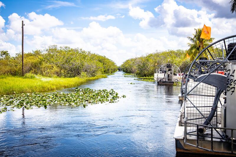 Sprachaufenthalt USA, Miami - Everglades