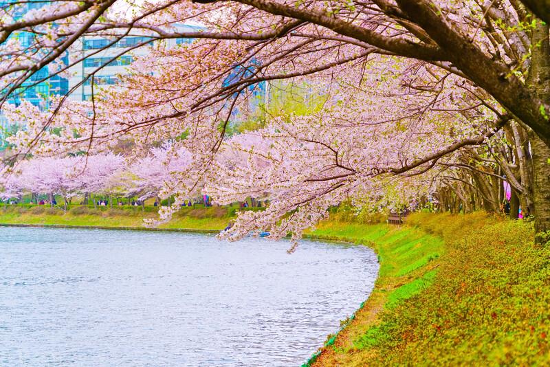 Sprachaufenthalt Südkorea, Seoul, Park