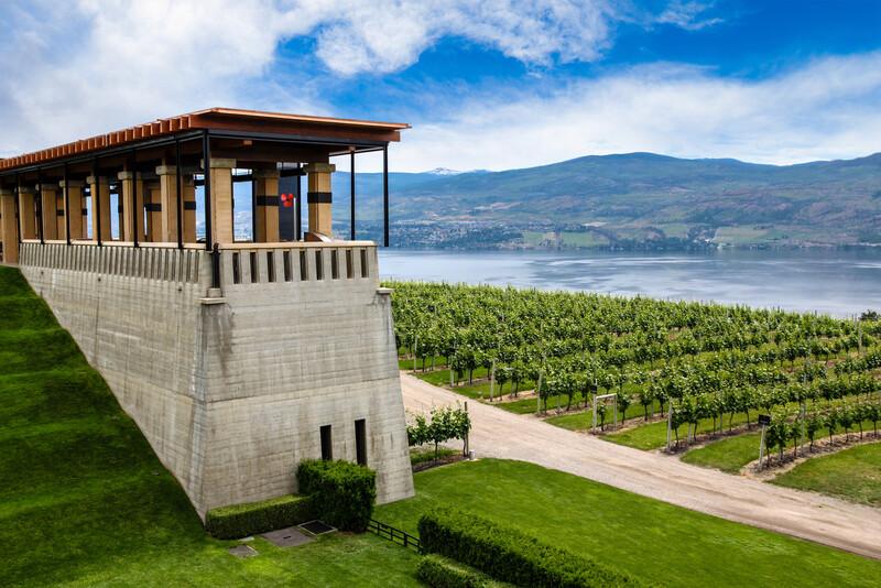 Séjour linguistique Canada, Kelowna - Vignes