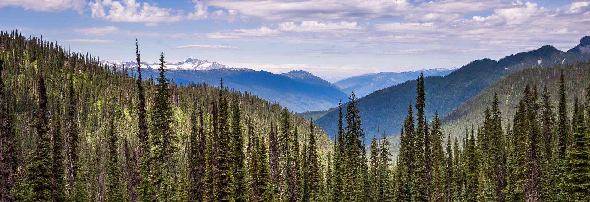 Séjour linguistique Canada, Forêt
