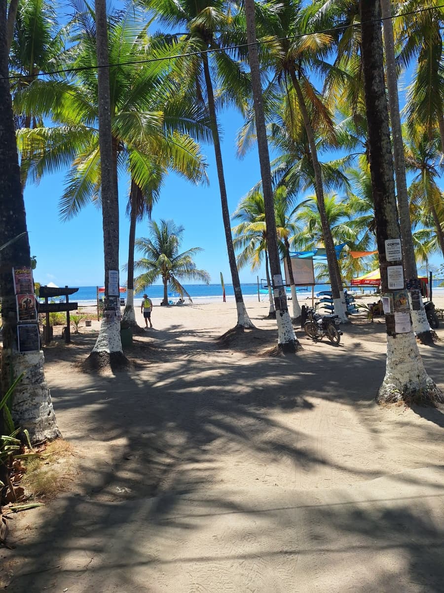 Sprachaufenthalt Intercultura Sámara Review