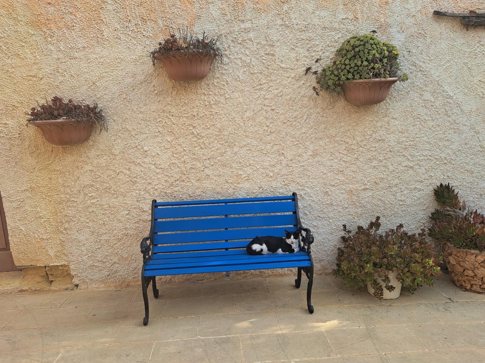 Sprachaufenthalt BELS Gozo Review