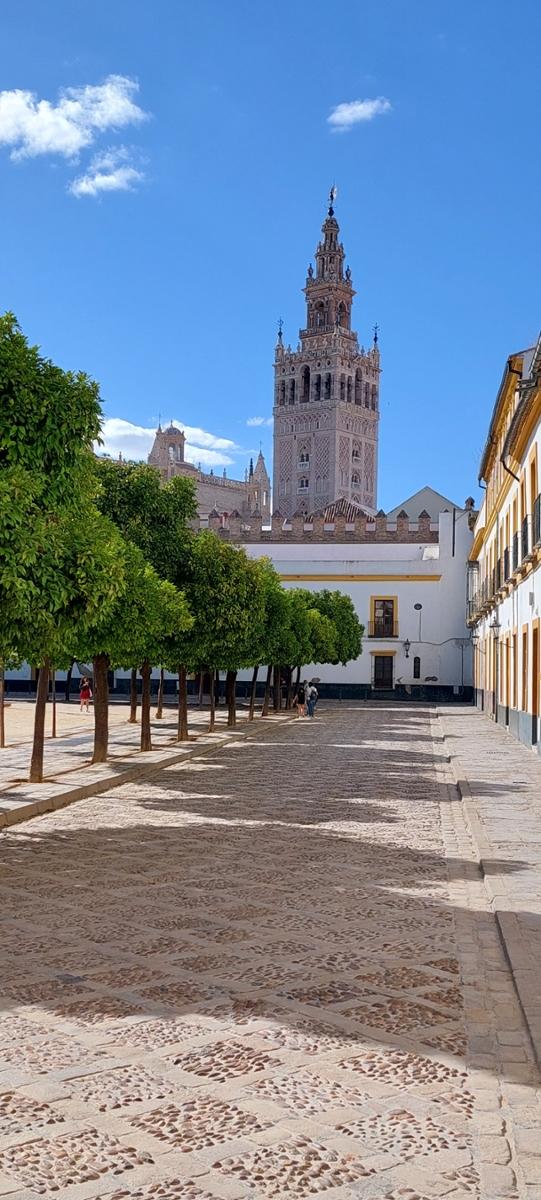 Sprachaufenthalt Spanien CLIC Sevilla Review