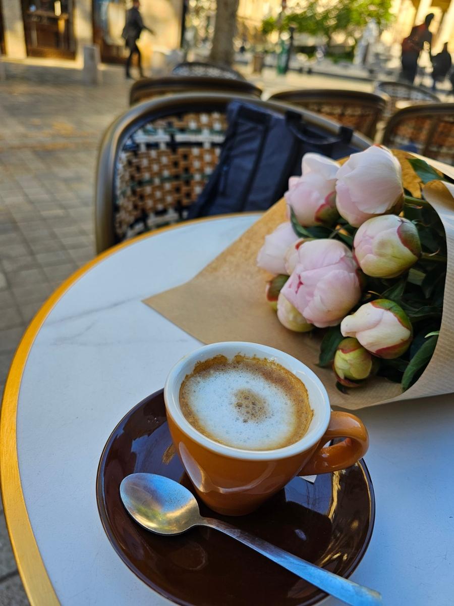 Sprachaufenthalt Aix-en-Provence IS Aix-en-Provence Review