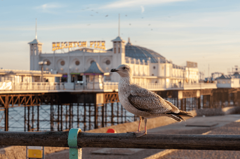 Sprachaufenthalt England, Brighton - Royal Pier