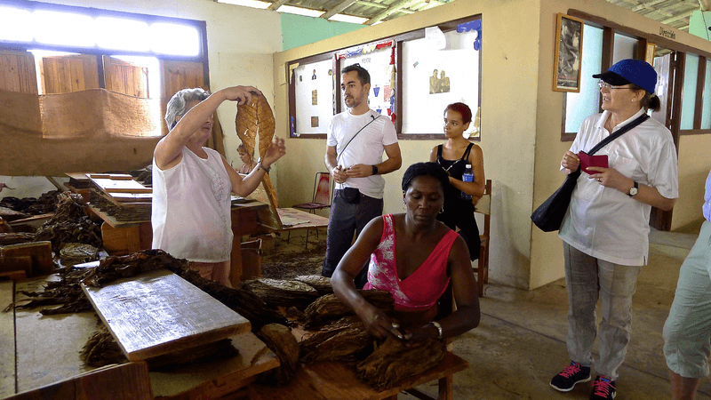 Séjour linguistique Cuba, La Havane, Estudio Sampere Havanna, Excursion