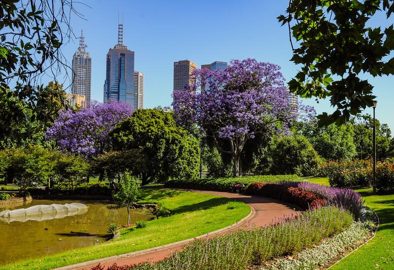 Sprachaufenthalt Australien, Melbourne, Botanischer Garten