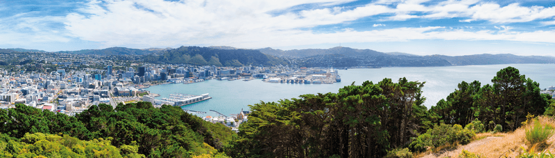 Séjour linguistique Nouvelle-Zélande, Wellington