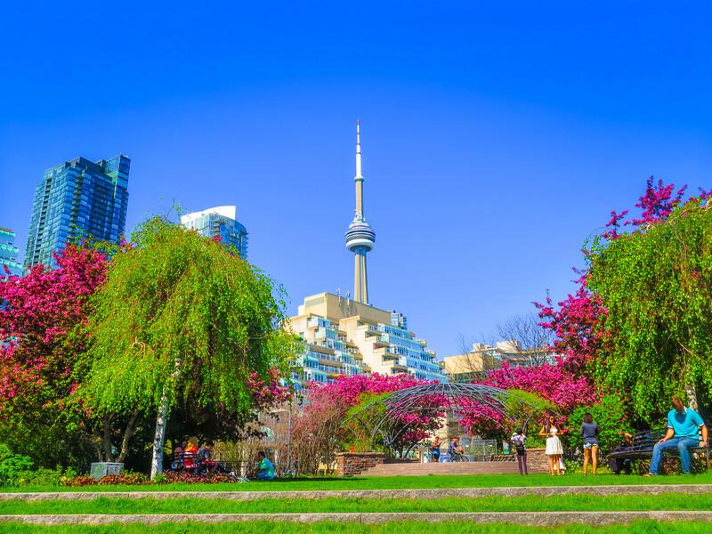 Sprachaufenthalt Kanada, Toronto, Park