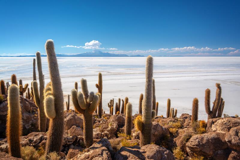 Sprachaufenthalt Bolivien, Salzwüste
