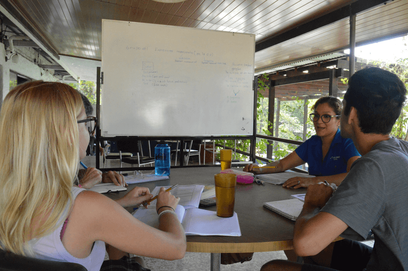 Sprachaufenthalt Costa Rica, Manuel Antonio - Maximo Nivel Manuel Antonio - Lektionen