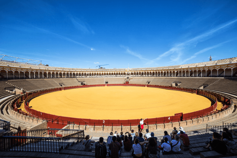 Sprachaufenthalt Spanien, Sevilla - Arena
