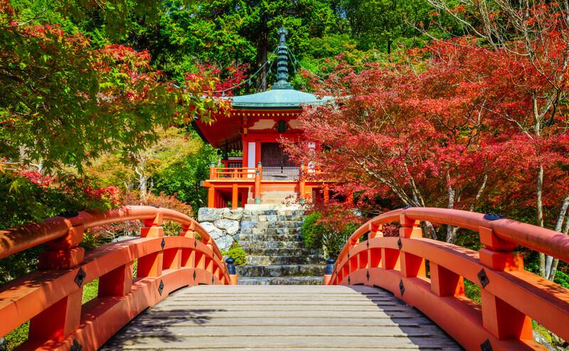 Sprachaufenthalt Japan, Kyoto, Temple