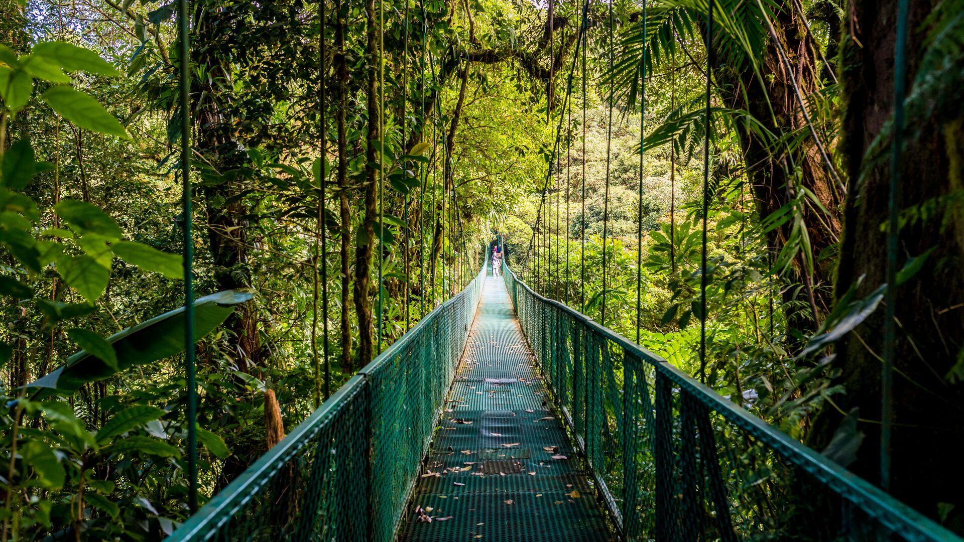 Walking on hanging bridges in Cloudforest - Travel destination Costa Rica