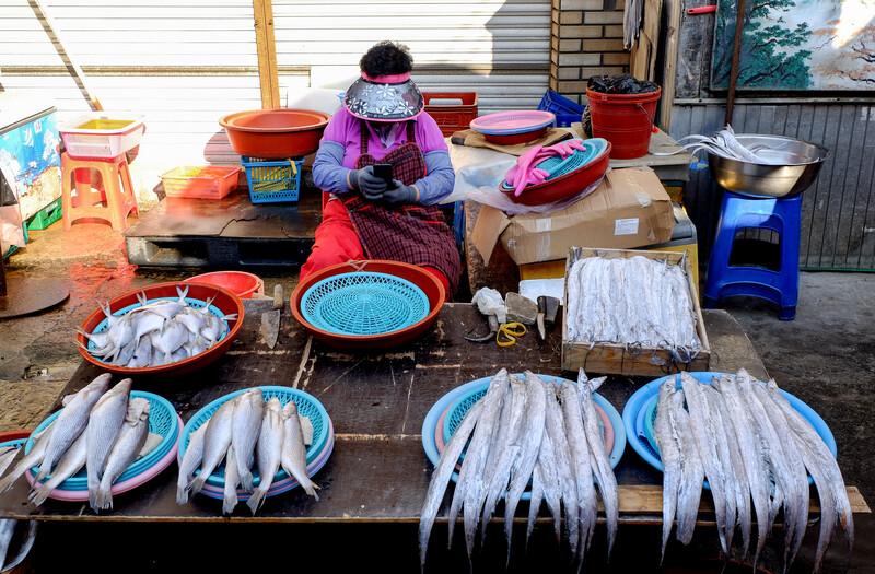 Jagalchi Fish Market, Busan South Korea 3 November 2017 :Jagalchi Fish Market is a representative fish market and a tourist destination in Busan. Many
