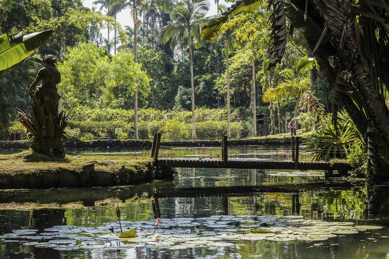 Sprachaufenthalt Brasilien, Rio de Janeiro - Botanischer Garten