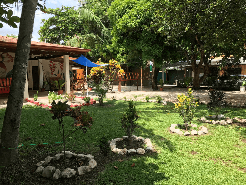 Séjour linguistique Costa Rica - Sàmara - Intercultura - Accommodation - Résidence Sàmara - Jardin