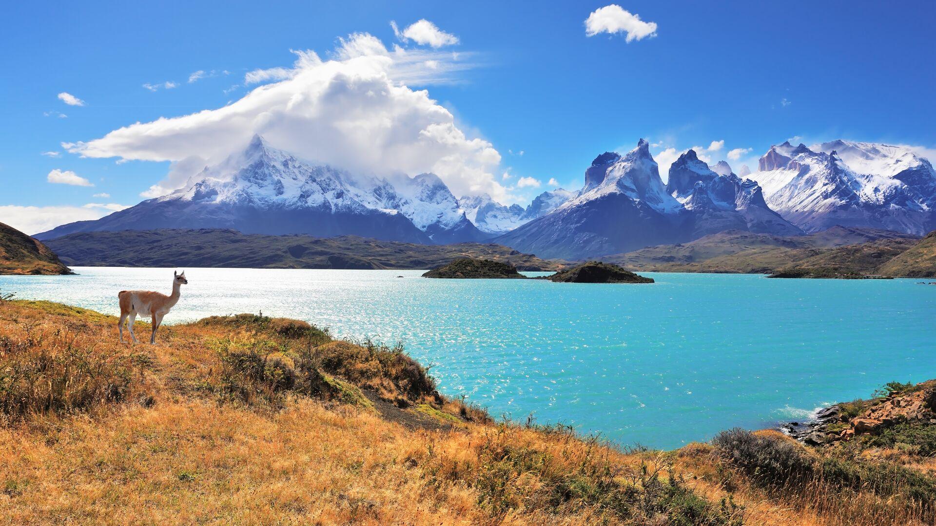 Sejour linguistique Chili, National Park Torres del Paine