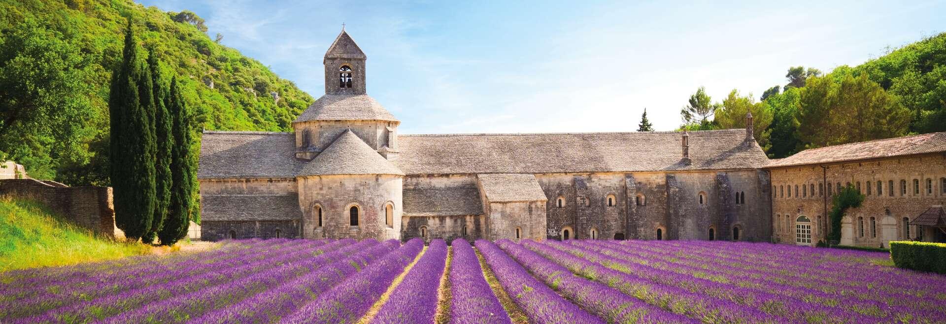 Sprachaufenthalt Frankreich, Lavendel