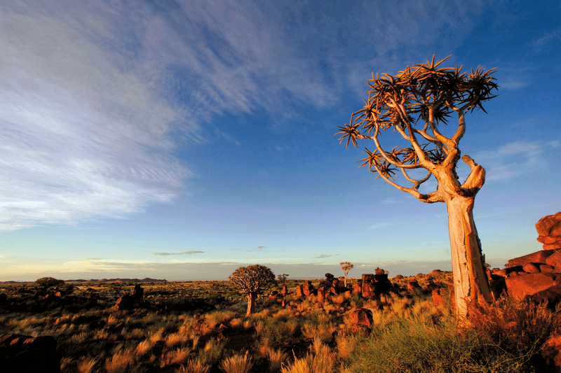Sprachaufenthalt Südafrika, Wüste