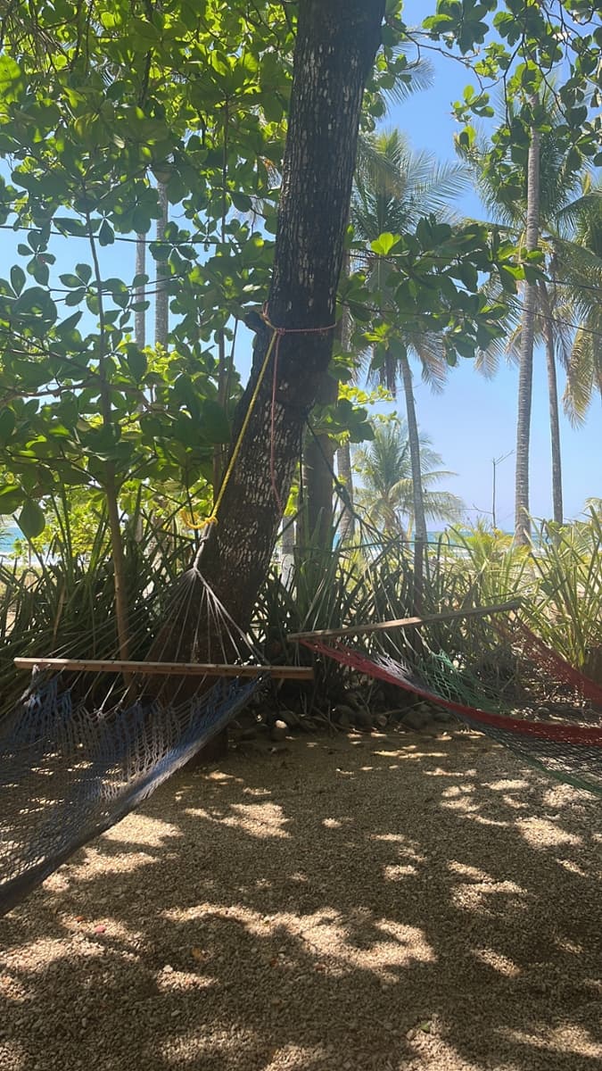 sprachaufenthalt-spanisch-intercultura-samara-review Sprachaufenthalt Spanisch Intercultura Sámara Review